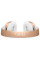 Наушники Bluetooth Beats Beats Solo3 Wireless On-Ear Gold (MNER2ZE/A)